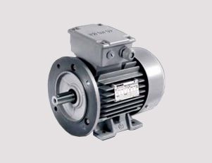 隔爆型三相異步電動機(jī)